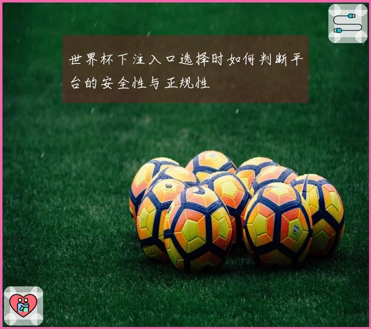 世界杯下注入口选择时如何判断平台的安全性与正规性