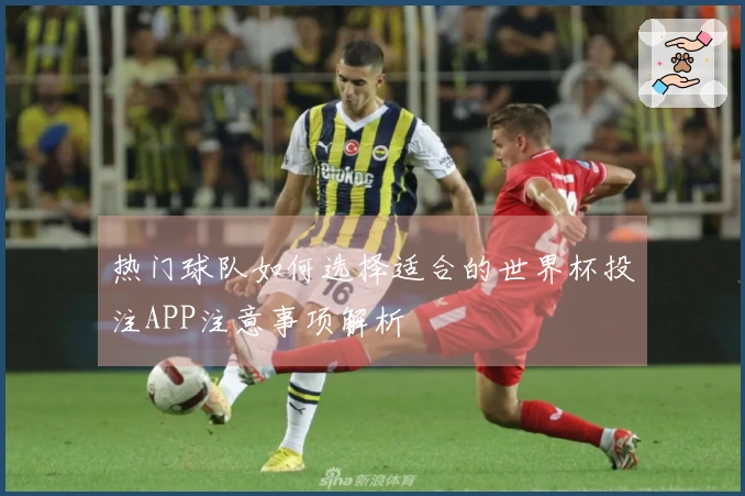 热门球队如何选择适合的世界杯投注APP注意事项解析