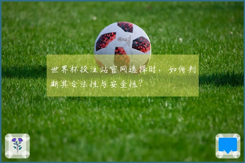 世界杯投注站官网选择时，如何判断其合法性与安全性？