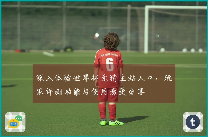 深入体验世界杯竞猜主站入口,玩家评测功能与使用感受分享