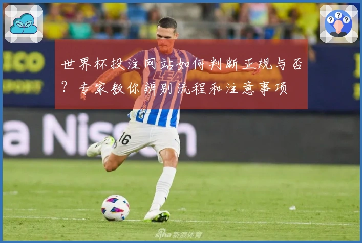 世界杯投注网站如何判断正规与否?专家教你辨别流程和注意事项