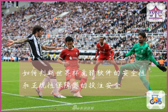 如何判断世界杯竞猜软件的安全性和正规性保障您的投注安全