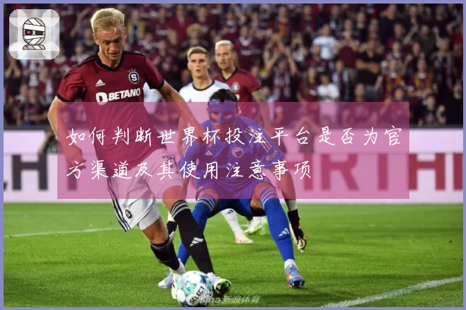 如何判断世界杯投注平台是否为官方渠道及其使用注意事项