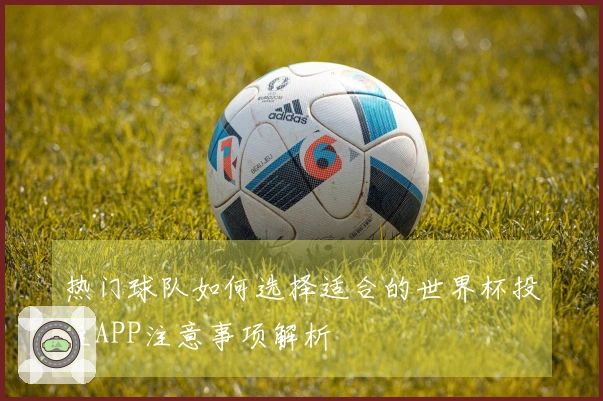 热门球队如何选择适合的世界杯投注APP注意事项解析