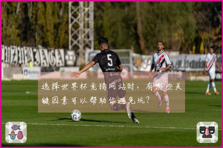 选择世界杯竞猜网站时，有哪些关键因素可以帮助你避免坑？