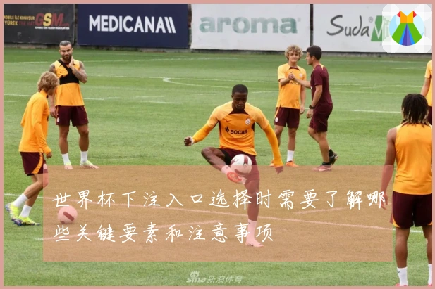 世界杯下注入口选择时需要了解哪些关键要素和注意事项