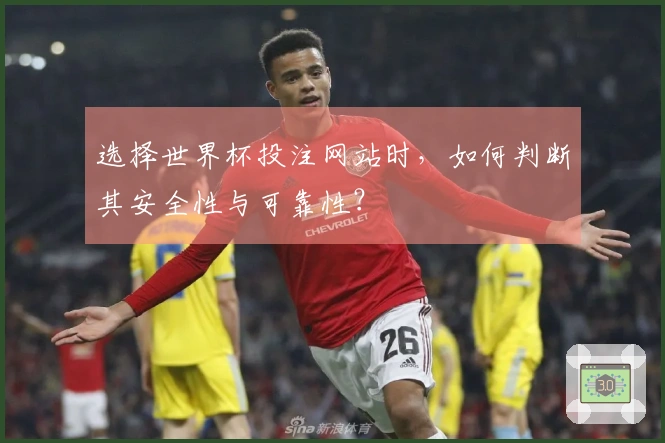 选择世界杯投注网站时，如何判断其安全性与可靠性？