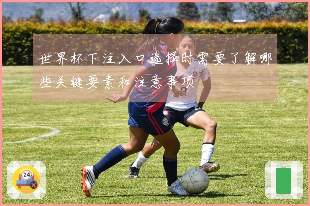 世界杯下注入口选择时需要了解哪些关键要素和注意事项