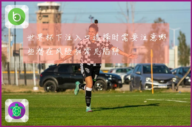 世界杯下注入口选择时需要注意哪些潜在风险和常见陷阱