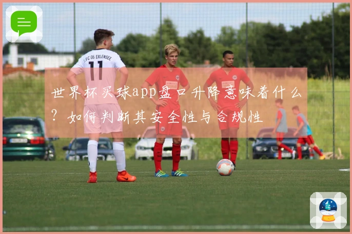 世界杯买球app盘口升降意味着什么？如何判断其安全性与合规性
