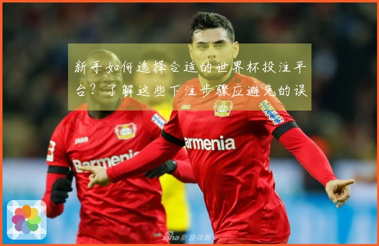 新手如何选择合适的世界杯投注平台？了解这些下注步骤应避免的误区