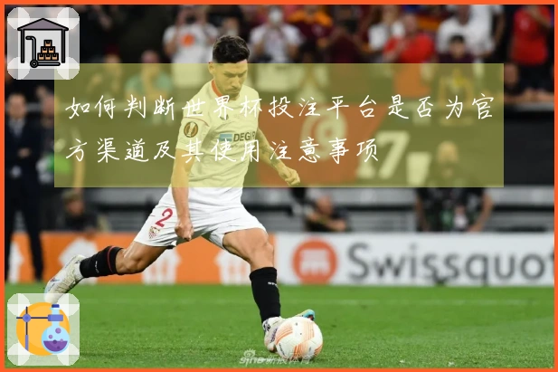 如何判断世界杯投注平台是否为官方渠道及其使用注意事项