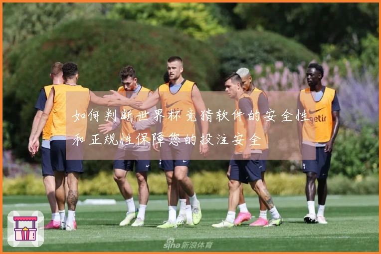 如何判断世界杯竞猜软件的安全性和正规性保障您的投注安全